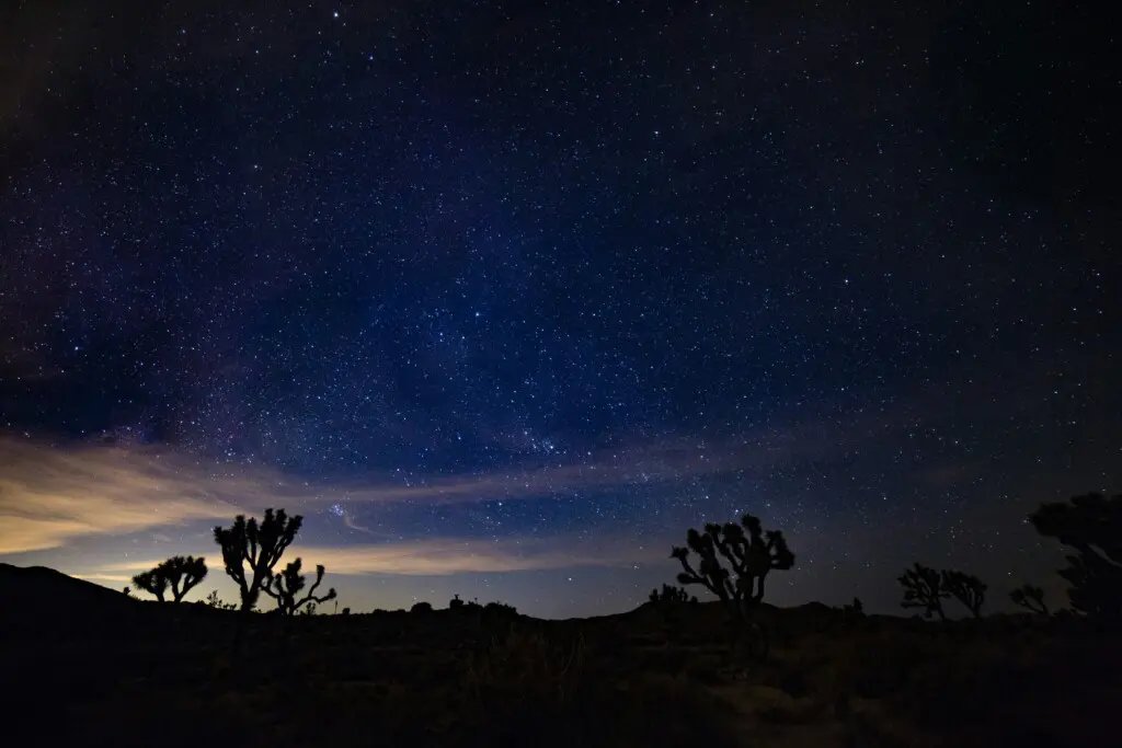 Joshua Tree night