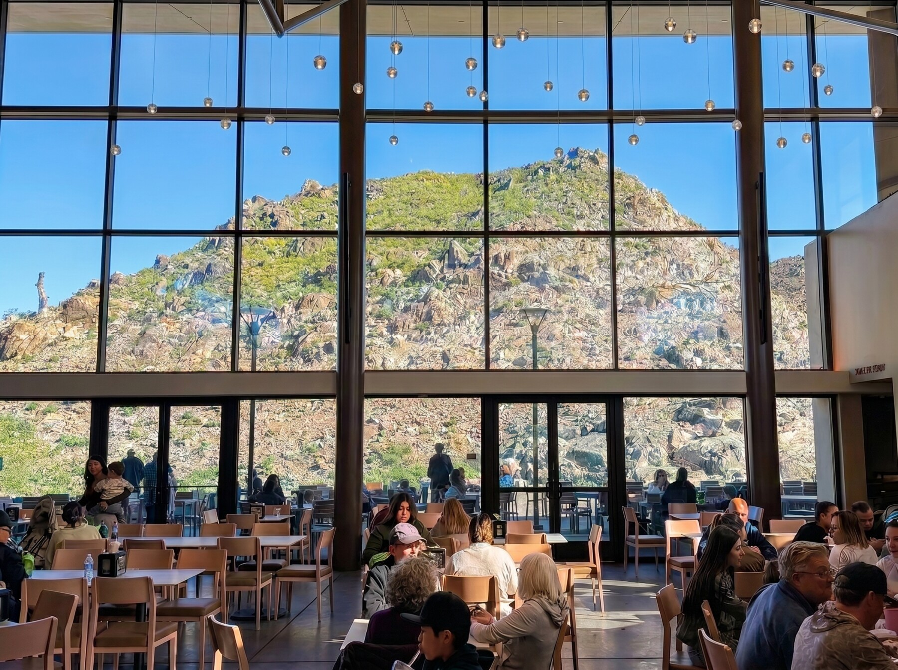 Floor-to-ceiling windows framing the hillside inside the Bighorn Cafe at The Living Desert Zoo