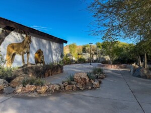 enhance photo. Increase dynamic range 202606081459
