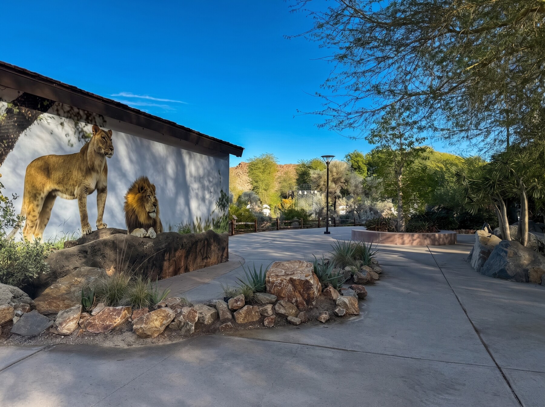 Wide, accessible walkways and a lion mural near the entrance of The Living Desert Zoo